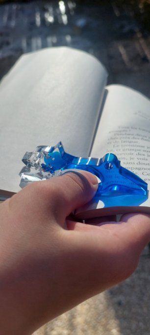 ENFANT  - Bague de lecture chiot bleu et feuilles d'argent 