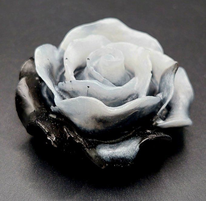 Rose noire et blanche 