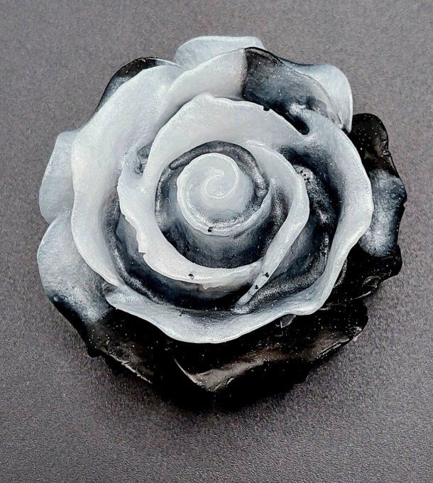 Rose noire et blanche 