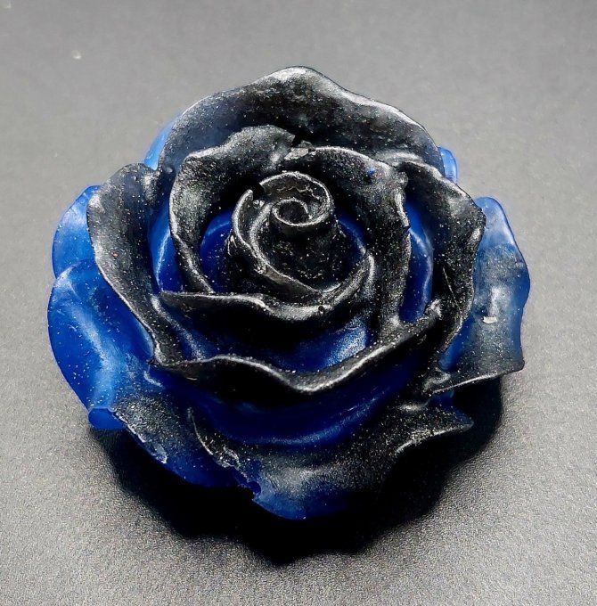 Rose noire et bleue