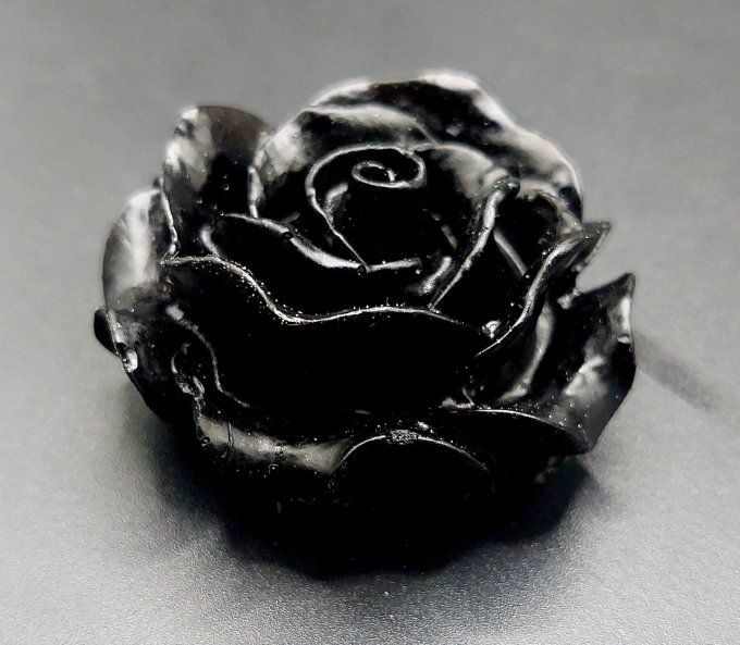 Rose noire n°2