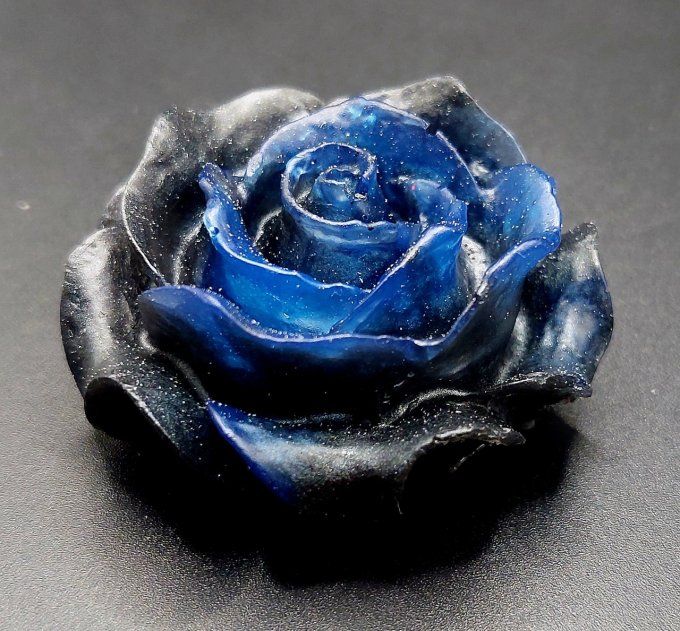 Rose bleue et noire