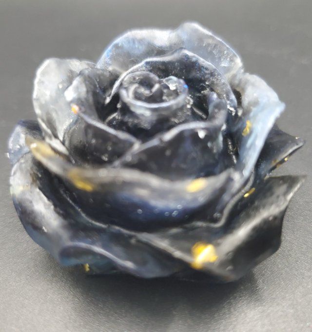 Rose noire bleutée 
