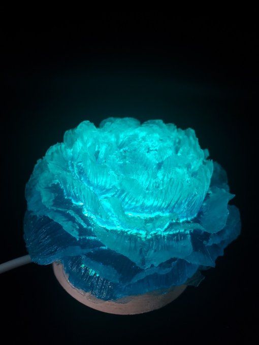 Pivoine bleu et paillettes (en option le socle usb) - Lumière d'Ambiance