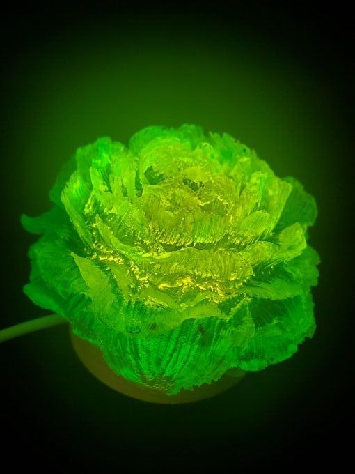 Pivoine verte (en option le socle usb) - Lumière d'Ambiance