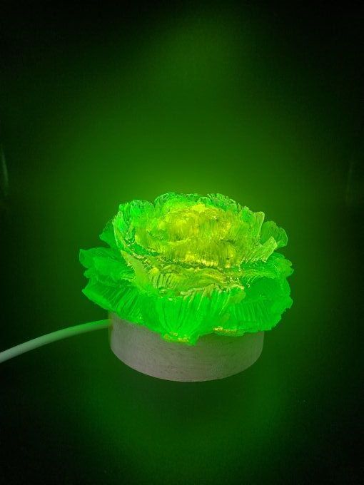 Pivoine verte (en option le socle usb) - Lumière d'Ambiance