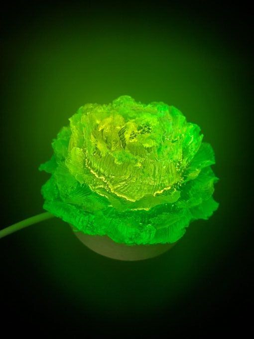 Pivoine verte (en option le socle usb) - Lumière d'Ambiance